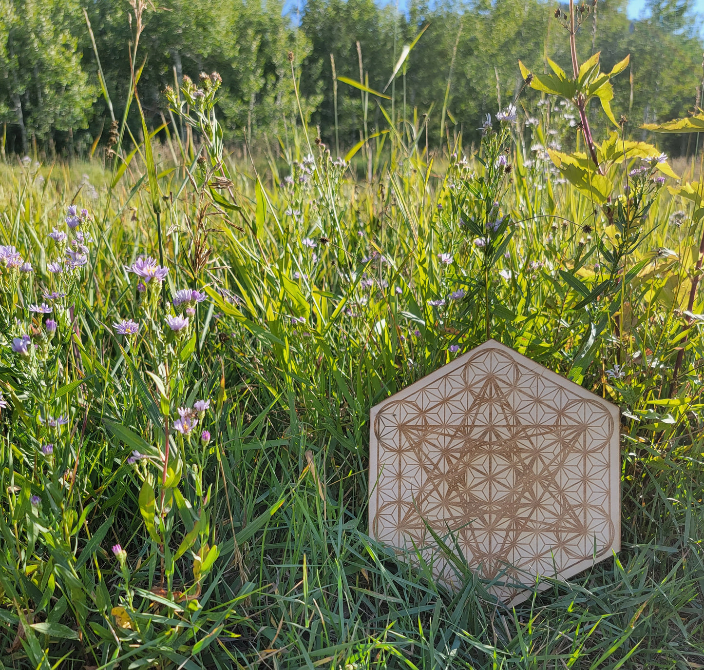 Metatron's Cube Grid